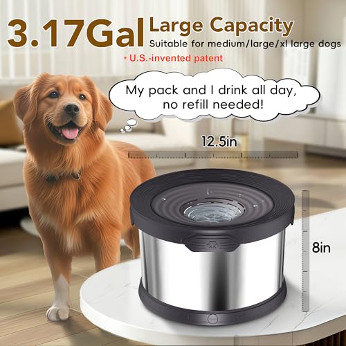 12L Dog Water Bowl No Spill Stainless Steel for Slow Drinking Black