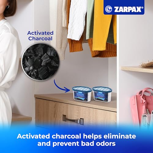 Moisture Absorber Activated Charcoal 6.5 oz (97.5 Ounce)