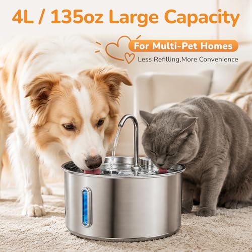Stainless Steel Cat Water Fountain