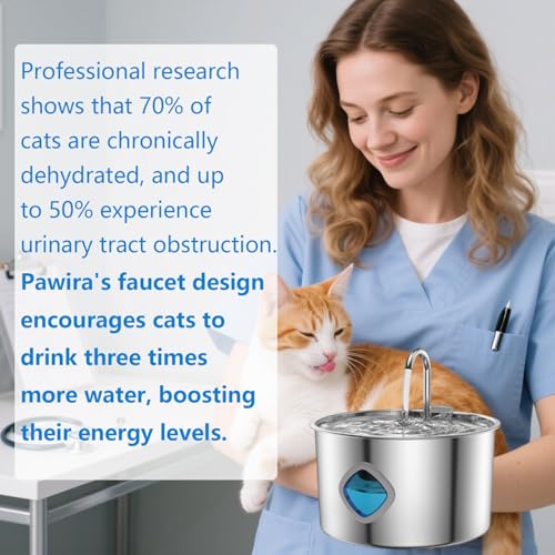 Water Fountain for Cats