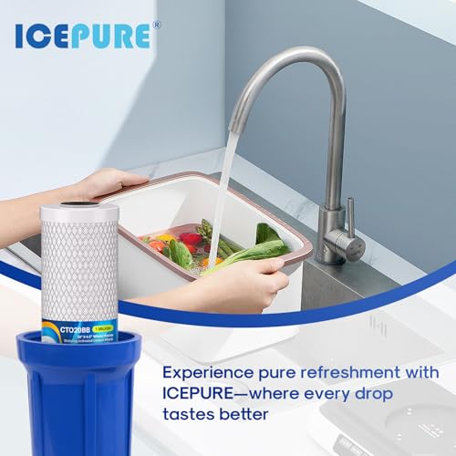 1 Micron 20" x 4.5" Whole House CTO Coconut Shell Activated Carbon Water Filter Cartridge Replacement for FC25B (2 Count)