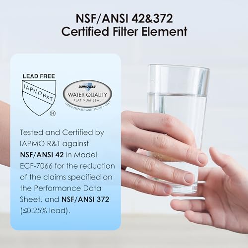 Gravity Water Filter (2 Count)