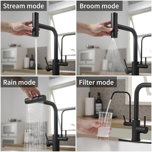 Black Kitchen Faucets with Water Filter and Pull Down Sprayer