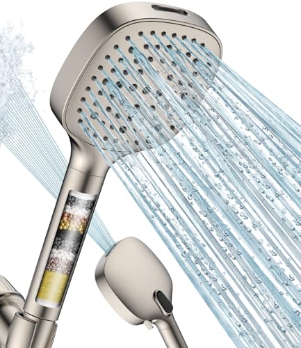 Filtered Shower Head with Handheld