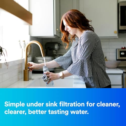 Maximum Under Sink Water Filtration System 3US