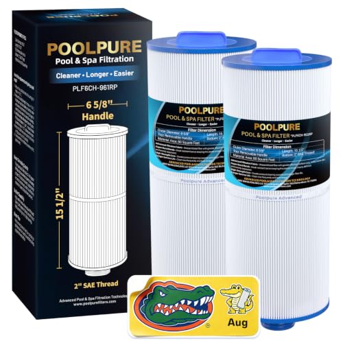 J300 Removable Handle Spa Filter Replaces Jacuzzi Prem J300