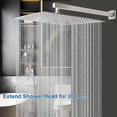 Shower Head with Extension Arm