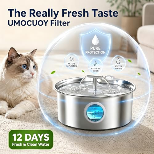 Cat Water Fountain Filter Replacement