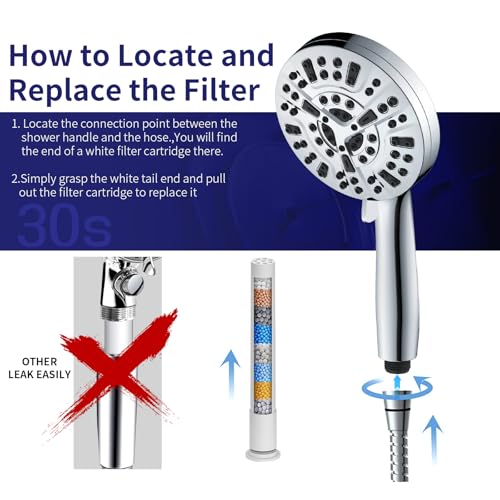 Filtered Shower Head with Handheld