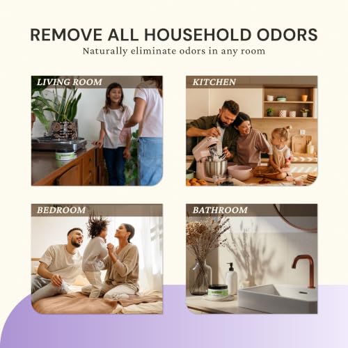 Lavender Odor Eliminator Gel 3 (21 Fl Oz)