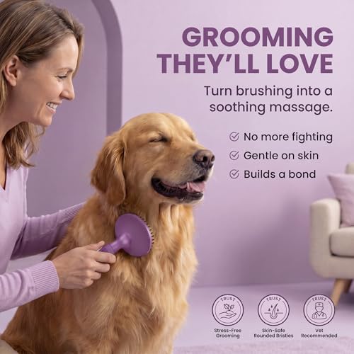 Round Bristle Pet Brush for Dogs and Cats
