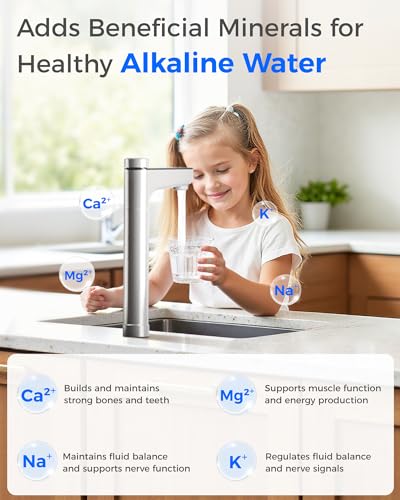 X12 Alkaline Mineral Reverse Osmosis System