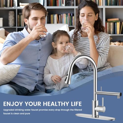 Filter Water Kitchen Faucets
