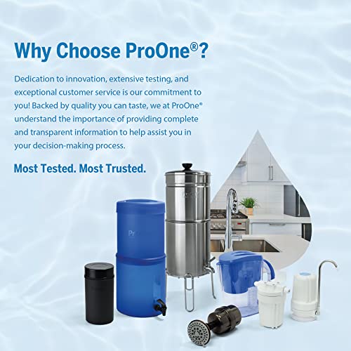 Big+ Gravity Water Filter System High Capacity Countertop Stainless Steel Water Filter Dispenser IAPMO Certified to Reduce Lead