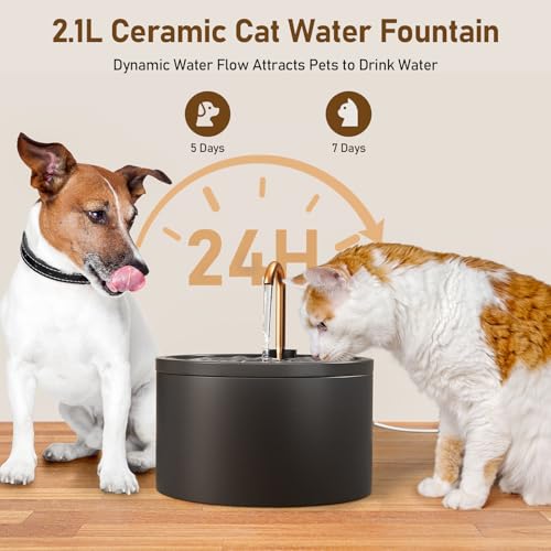 Ceramic Cat Water Fountain (71 Fl Oz)