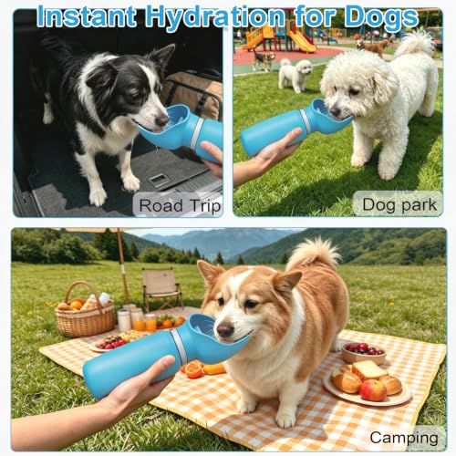 Dog Water Bottle Portable