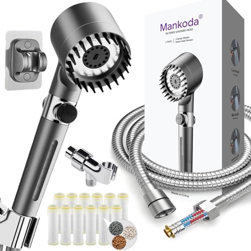 Filtered Shower Head with Handheld