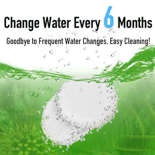 Water Purification Tablets for Rowing Machines