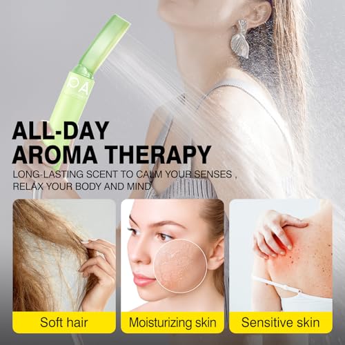 Filtered Shower Head with Handheld