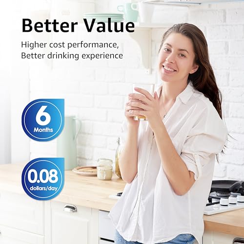 OB6019C Refrigerator Water Filter Replacement for GE® RPWFE®