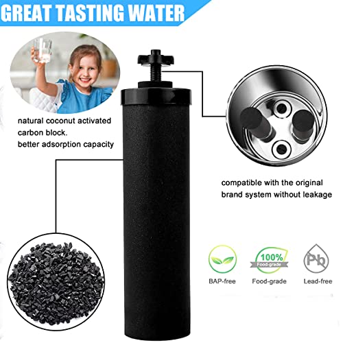 Water Filter Replacement Compatible with Big Berkey (4 Count)