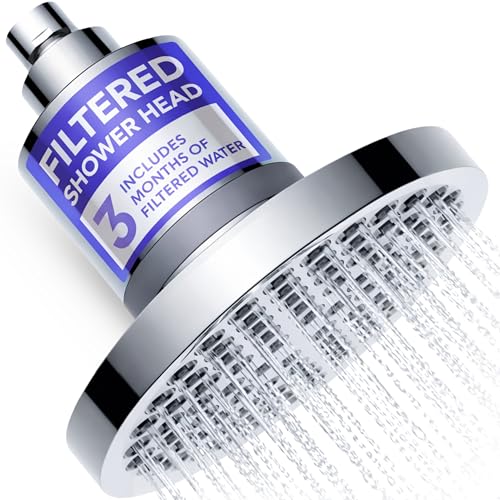 Filtered Shower Head with Filters