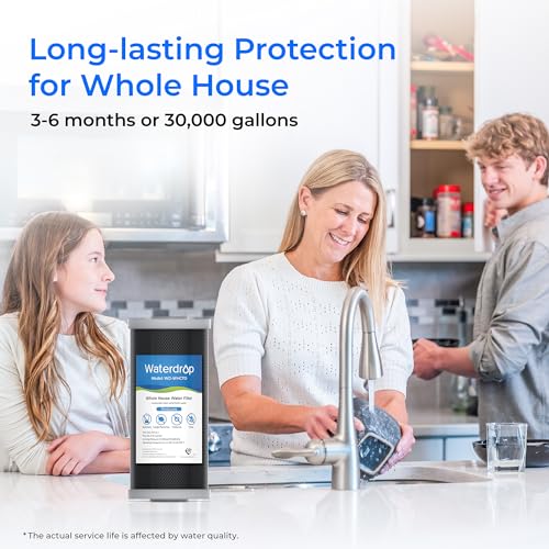 Whole House CTO Carbon Sediment Filter for GE® FXHTC (3 Count)