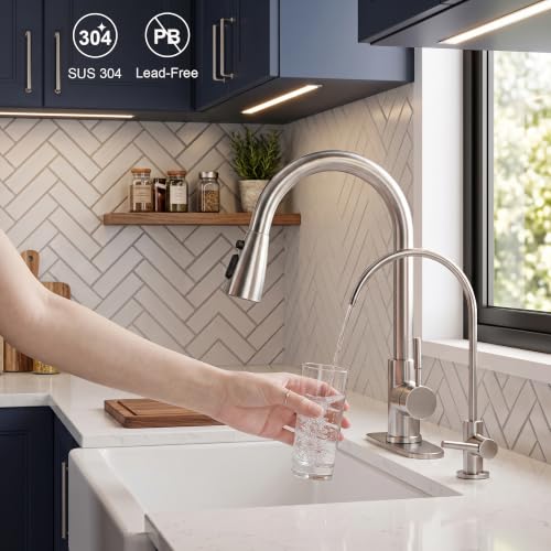 Kitchen Faucet and Water Filter Faucet Combo