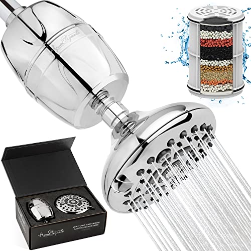 Shower Head & 16 Stage Filter