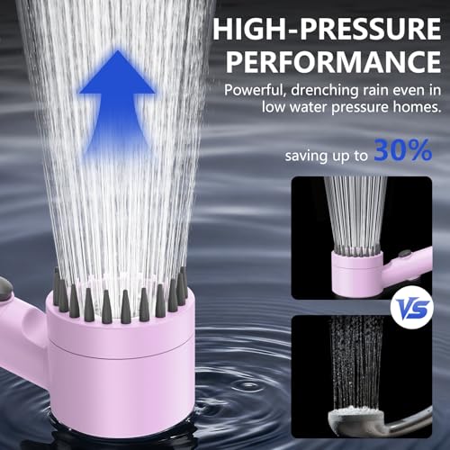 Filtered Shower Head with Handheld