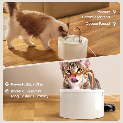 Ceramic Cat Water Fountain