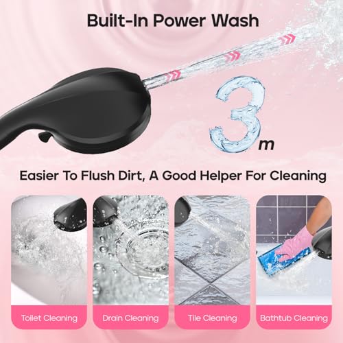 Filtered Shower Head with Handheld