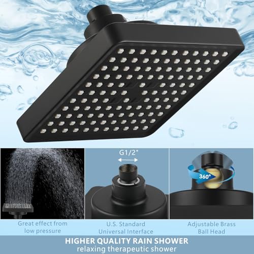 Filtered Shower Head with Handheld Combo
