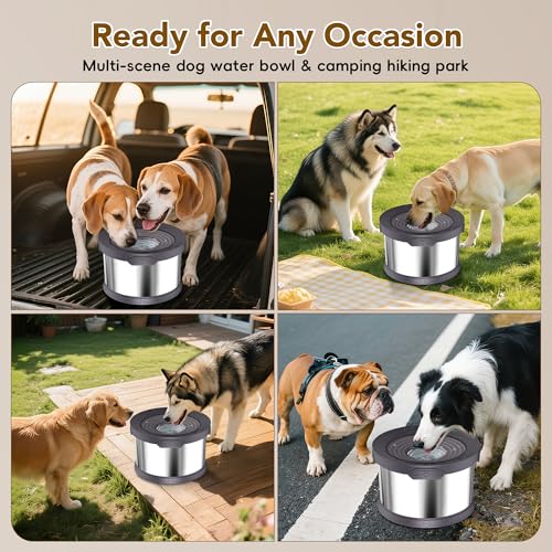 10L Dog Water Bowl No Spill Stainless Steel for Slow Drinking Grey