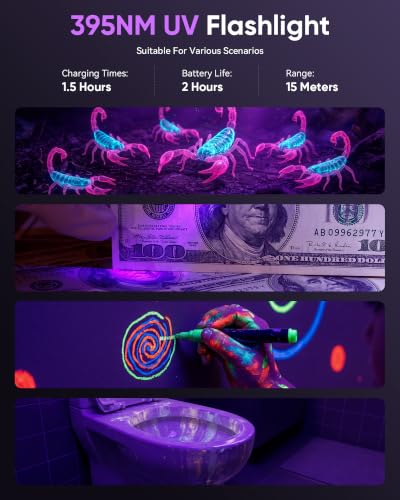 Black Light Flashlight (2 Count)