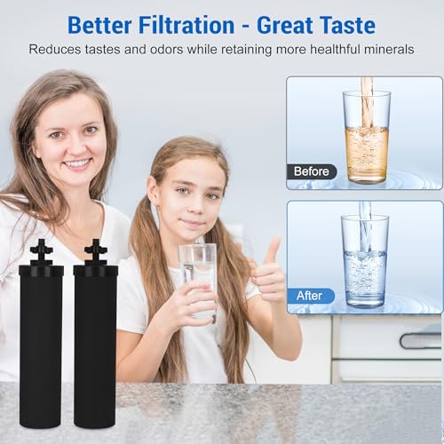 NSF ANSI 42 Certified Black Purification Elements (2 Count)