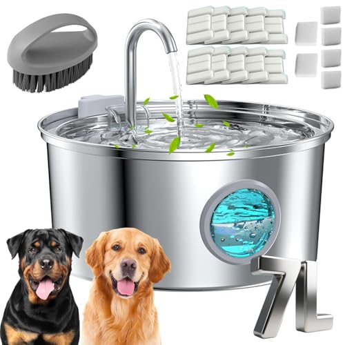Dog Water Fountain