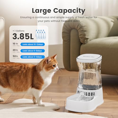 Automatic Gravity Water Dispenser for Dogs