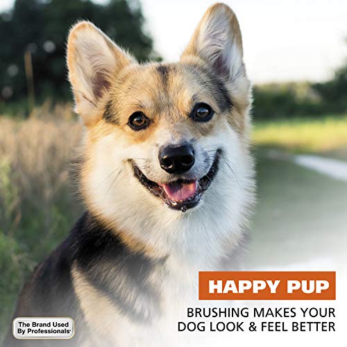 Premium Pet Double Sided Medium Pin Bristle Brush