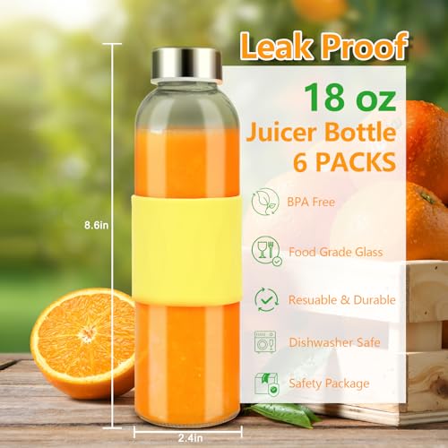 18oz Glass Juice Bottles with Stainless Steel Lids Leak Proof 6 Pack (6 Count)