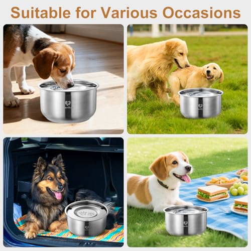 Dog Water Bowl No Spill (152 Fl Oz)