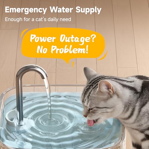 Glass Cat Water Fountain