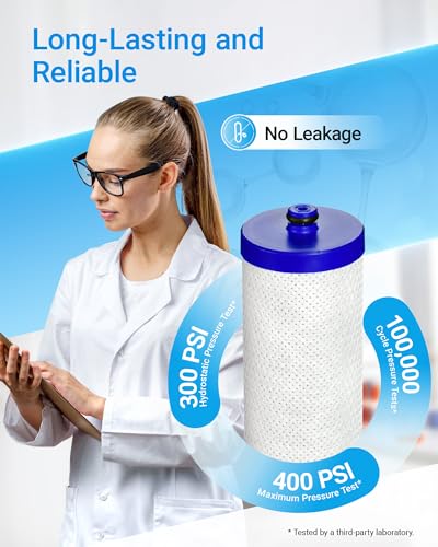 WF1CB Refrigerator Water Filter (3 Count)