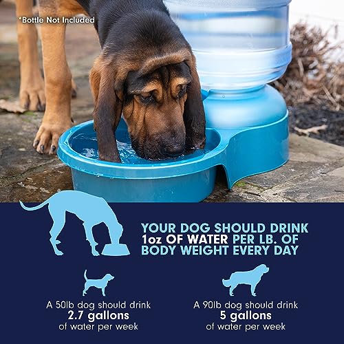 Big Blue Outdoor Pet Water Bowl