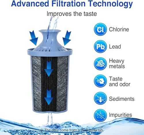 10 Cup Water Filter Pitcher & 2 Longlast Filters
