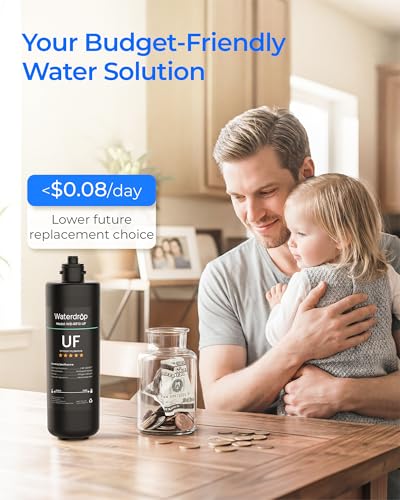 RF10 UF Water Filter Replacement for WD (2 Count)