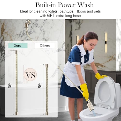 Filtered Shower Head with Handheld
