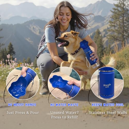 Stainless Steel Dog Travel Water Bottle (14 Fl Oz)
