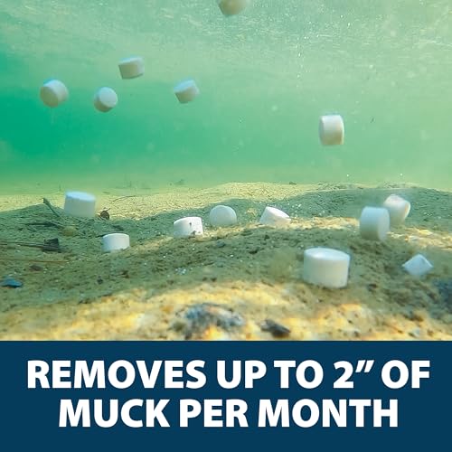 MuckAway Total Lake Natural Muck Reducer Tablets