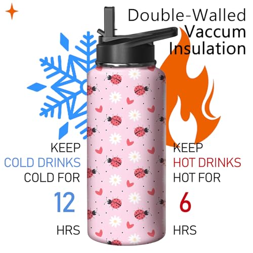 32oz Ladybug Water Bottle with Handle and Flip Straw